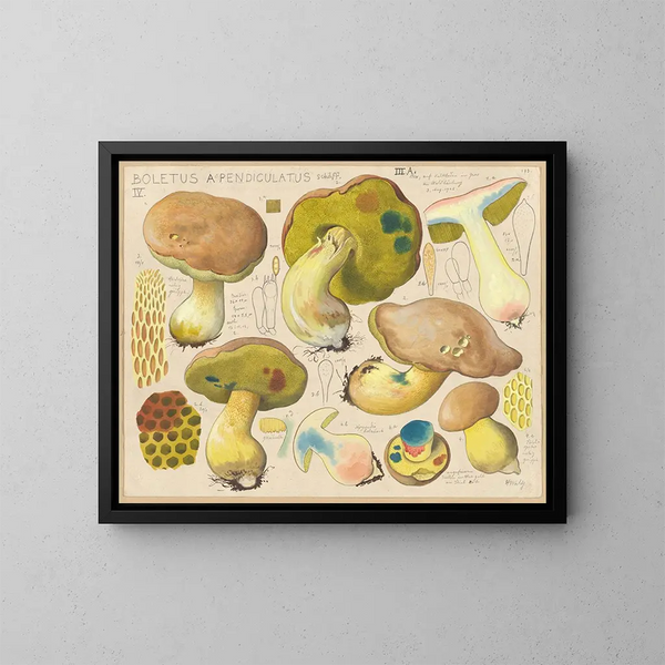 Boletus appendiculatus - Hans Baldung — inramlat konstverk på väggen