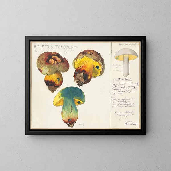 Boletus torosus - Hans Baldung — inramlat konstverk på väggen