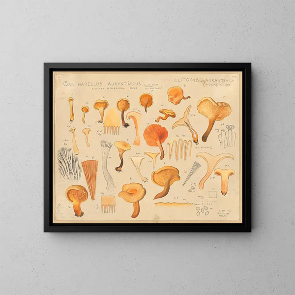 Chanterelle orangée - Hans Baldung — inramlat konstverk på väggen