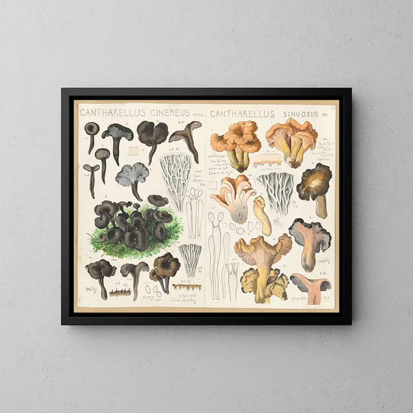 Chanterelle cendrée Chanterelle sinueuse - Hans Baldung — inramlat konstverk på väggen