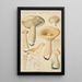 Clitocybe geotropa Bulliard - Hans Baldung — inramlat konstverk på väggen