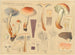 Hypholoma sublateritium - Hans Baldung — vy av konstverket
