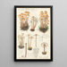 Mycena prolifera - Hans Baldung — inramlat konstverk på väggen