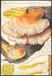 Polyporus sulfureus Bull Fr - Hans Baldung — vy av konstverket