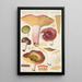 Russula alutacea Persoon - Hans Baldung — inramlat konstverk på väggen