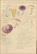 Russula amethystina - Hans Baldung — vy av konstverket