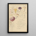 Russula amethystina - Hans Baldung — inramlat konstverk på väggen