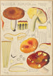 Russula aurata - Hans Baldung — vy av konstverket