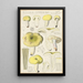 Russula citrina - Hans Baldung — inramlat konstverk på väggen