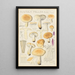Russula fellea - Hans Baldung — inramlat konstverk på väggen