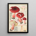 Russula linnaei - Hans Baldung — inramlat konstverk på väggen
