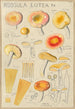 Russula lutea - Hans Baldung — vy av konstverket