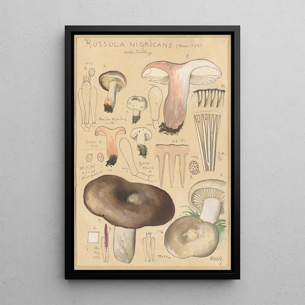 Russula nigricans - Hans Baldung — inramlat konstverk på väggen