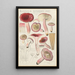 Russula rosacea - Hans Baldung — inramlat konstverk på väggen