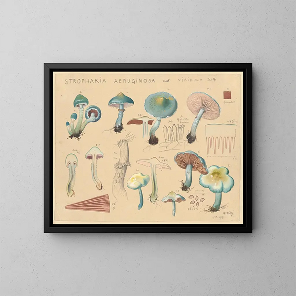 Stropharia aeruginosa var. viridula - Hans Baldung — inramlat konstverk på väggen