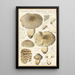Tricholoma pardinum quelet - Hans Baldung — inramlat konstverk på väggen