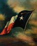 Texas-flaggan - Harco Schutter — vy av konstverket