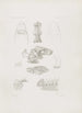 Mémoires du Musée de Zoologie Comparée de l'Université Harvard Pl02 - Musée de Zoologie Comparée de l'Université Harvard — vy av konstverket
