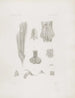 Mémoires du Musée de zoologie comparée du Harvard College Pl03 - Musée de Zoologie Comparée de l'Université Harvard — vy av konstverket
