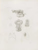 Mémoires du Musée de zoologie comparée du Harvard College Pl04 - Musée de Zoologie Comparée de l'Université Harvard — vy av konstverket