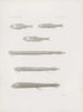 Mémoires du Musée de zoologie comparée du Harvard College Pl56 - Musée de Zoologie Comparée de l'Université Harvard — vy av konstverket