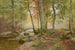 Landskapsbild av skog - Heinrich Böhmer — vy av konstverket