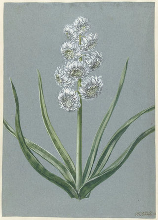 Hendrik Budde - Hyacint Markgraaf Karel van Baden Durlach.webp