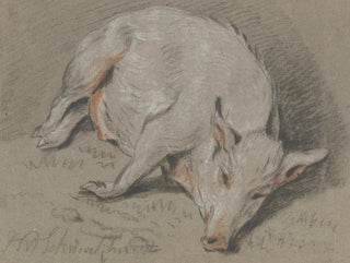 Hendrik Willem Schweickhardt - Liegendes Schwein.webp