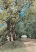 Allée sous-bois - Henri-Joseph Harpignies — vy av konstverket