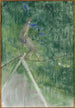 La danseuse de corde - Henri de Toulouse-Lautrec — vy av konstverket