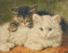 Två kattungar - Henriette Ronner-Knip — vy av konstverket