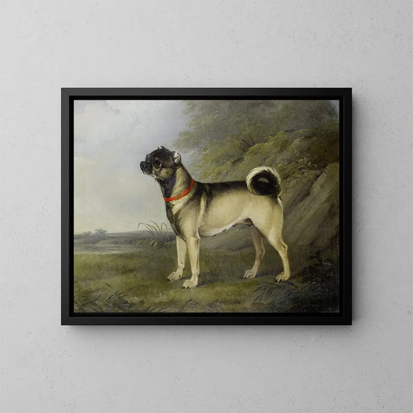 En favoritkarlinhund - Henry Bernard Chalon — inramlat konstverk på väggen