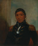 Chippewa av Big Buffalo - Henry Inman — vy av konstverket
