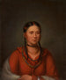 Hayne Hudjihini Aigle des délices - Henry Inman — vy av konstverket