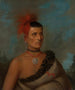 Pes-Ke-Le-Cha-Co - Henry Inman — vy av konstverket