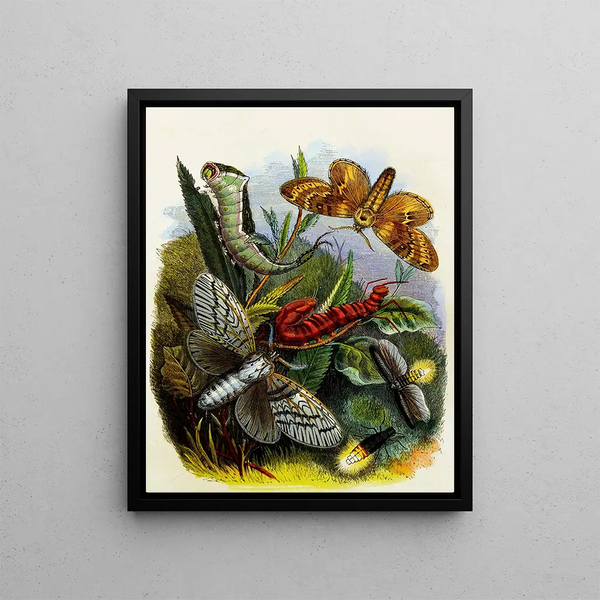Henry Noel Humphreys - The Butterfly Vivarium or Insect home Pl 4.webp