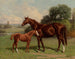 Castalie et le poulain - Henry Stull — vy av konstverket
