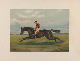 Iroquois - Henry Stull — vy av konstverket