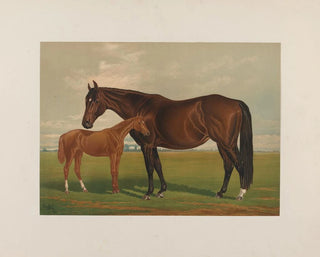 Nevada - Henry Stull — vy av konstverket