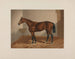 Cheval de Ten Broeck Bay - Henry Stull — vy av konstverket