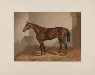 Cheval de Ten Broeck Bay - Henry Stull — vy av konstverket