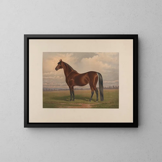 den största levande travhästen - Henry Stull — inramlat konstverk på väggen