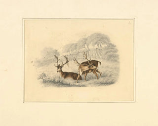 Henry Thomas Alken - Two deer near a running fence.webp