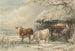 Vaches en hiver - Henry Willis — vy av konstverket