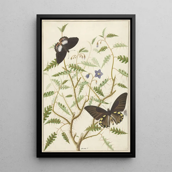 Hermanus de Wit - Een bloesemende struik met twee uitheemse vlinders.webp