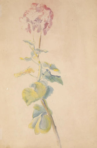 Hippolyte Petitjean - tude de fleur.webp