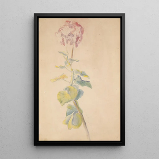 Hippolyte Petitjean - tude de fleur.webp