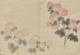 Hochu Nakamura - The Krin Picture Book Pl08.webp