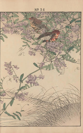 Imao Keinen - Keinen kach gafu Pl016.webp