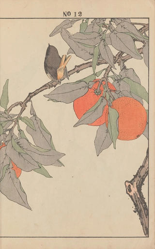 Imao Keinen - Keinen kach gafu Pl058.webp